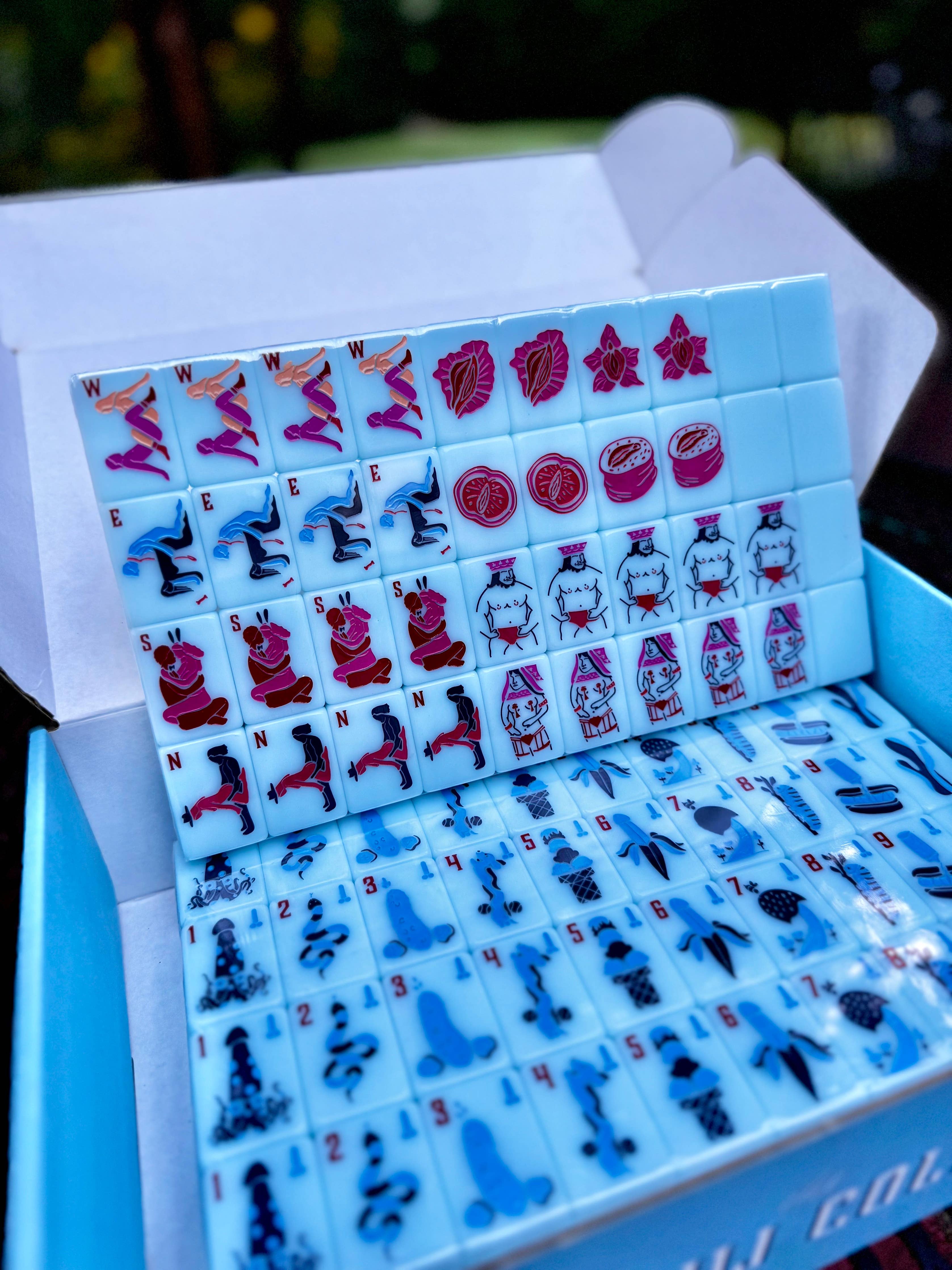 The BLUE Dirty Mahj Set